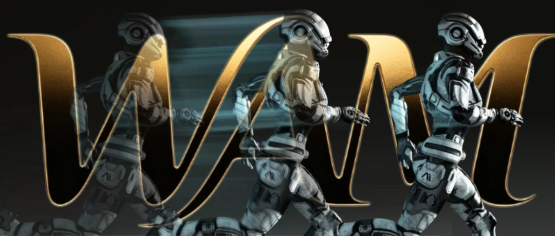 WAM 八年技术“狂奔”，却仍未达成的定义共识