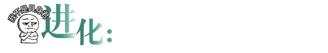 640 (4).png