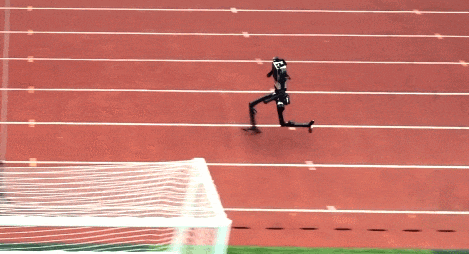 640 (4).gif