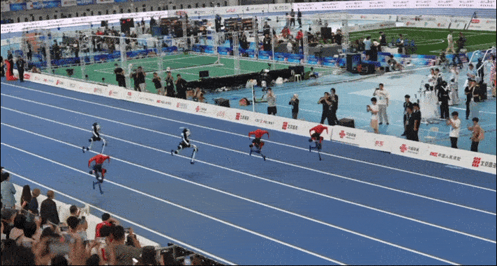 640 (5).gif