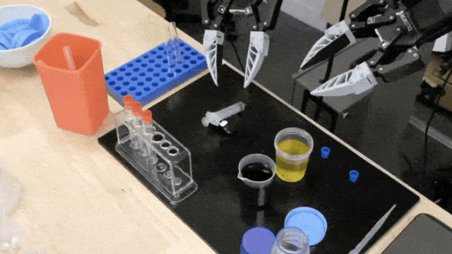 640 (2).gif