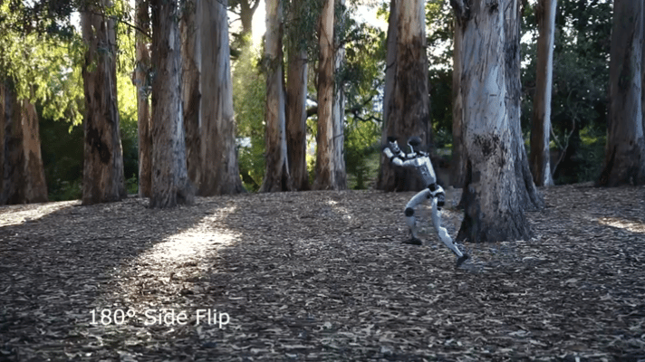 640.gif