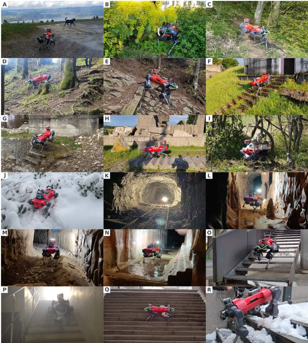 640 (3).webp